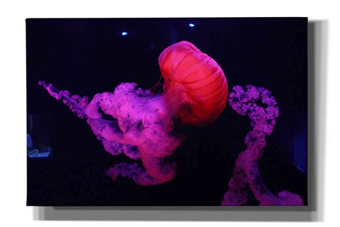 Image of 'Mushroom Cloud' by Epic Portfolio, Giclee Canvas Wall Art