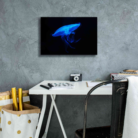 Image of 'Swan Lake' by Epic Portfolio, Giclee Canvas Wall Art,18x12