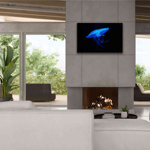 Image of 'Swan Lake' by Epic Portfolio, Giclee Canvas Wall Art,40x26