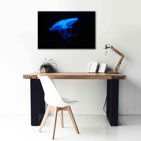 Image of 'Swan Lake' by Epic Portfolio, Giclee Canvas Wall Art,40x26