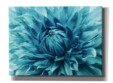Image of 'Turquoise Dahlia' by Epic Portfolio, Giclee Canvas Wall Art
