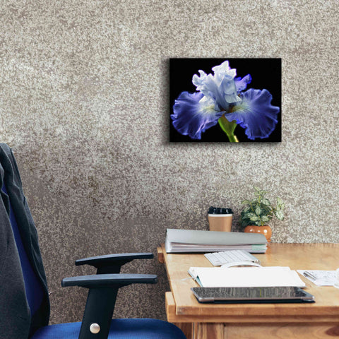 Image of 'Violet Blaze ' by Epic Portfolio, Giclee Canvas Wall Art,16x12