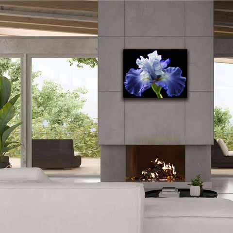 Image of 'Violet Blaze ' by Epic Portfolio, Giclee Canvas Wall Art,34x26