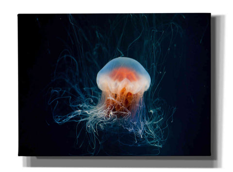 Image of 'Blast Off' by Epic Portfolio, Giclee Canvas Wall Art