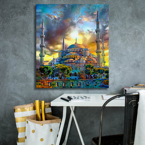 Image of 'Istanbul Turkey Blue Mosque' by Pedro Gavidia, Canvas Wall Art,26 x 30