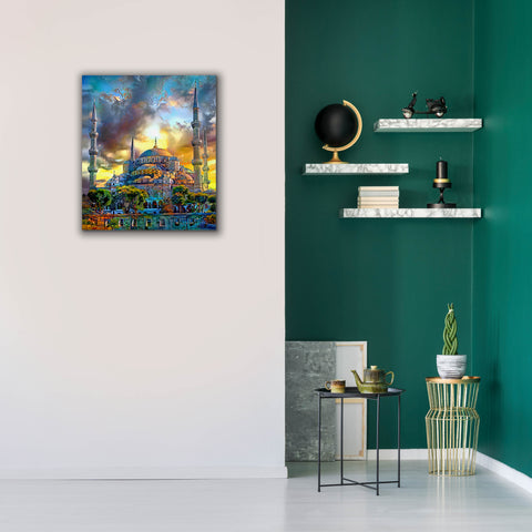Image of 'Istanbul Turkey Blue Mosque' by Pedro Gavidia, Canvas Wall Art,26 x 30