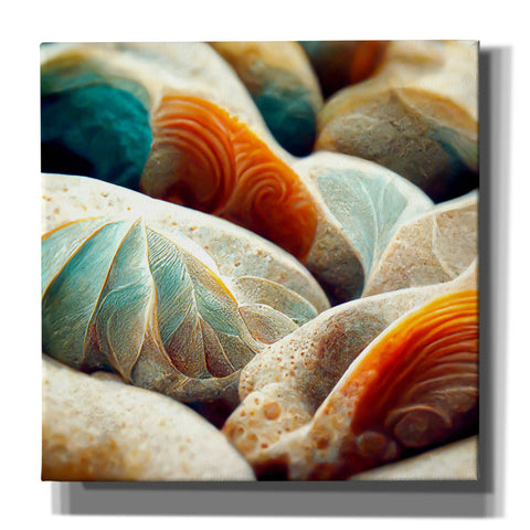 Image of 'Space Sea Shells' by Epic Portfolio, Canvas Wall Art