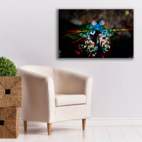 Image of 'Peacock Mantis Shrimp' by Epic Portfolio, Canvas Wall Art,40 x 26