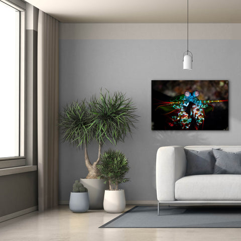 Image of 'Peacock Mantis Shrimp' by Epic Portfolio, Canvas Wall Art,40 x 26