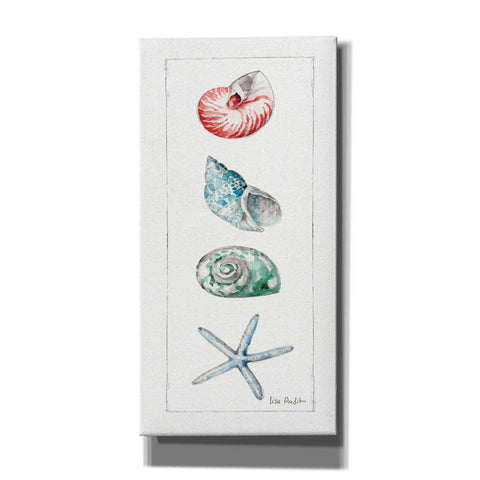 Image of 'Sea Finds IV' by Lisa Audit, Canvas Wall Art