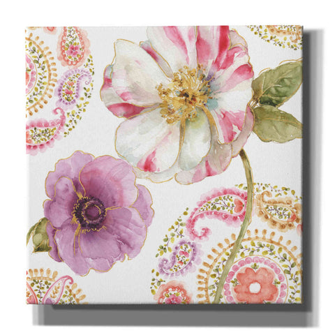 Image of 'Rainbow Seeds Paisley I' by Lisa Audit, Canvas Wall Art