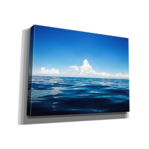 Image of "Deep Blue" by Nicklas Gustafsson Giclee Canvas Wall Art