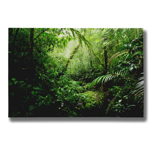 Image of "Warm Glow Rainforest Creek" by Nicklas Gustafsson Giclee Canvas Wall Art