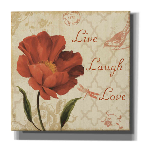 Image of 'Live Laugh Love' by Lisa Audit, Canvas Wall Art