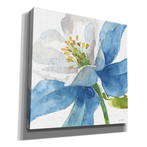 Image of 'Blue And Green Garden VI' by Lisa Audit, Canvas Wall Art