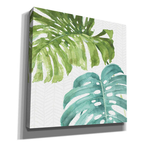 Image of 'Mixed Greens LXXVI' by Lisa Audit, Canvas Wall Art