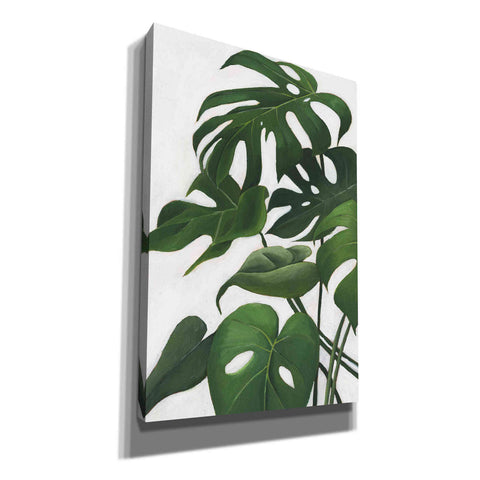Image of 'Pura Vida I' by Grace Popp, Canvas Wall Glass