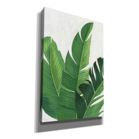 Image of 'Pura Vida II' by Grace Popp, Canvas Wall Glass