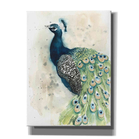 Image of 'Watercolor Peacock Portrait II' by Grace Popp, Canvas Wall Glass