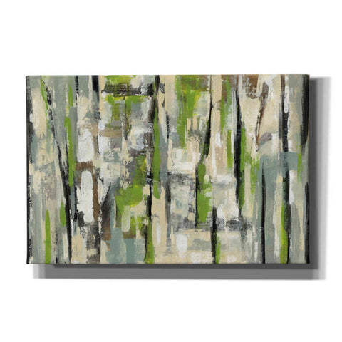 Image of 'Spring Stripes' by Silvia Vassileva, Canvas Wall Art