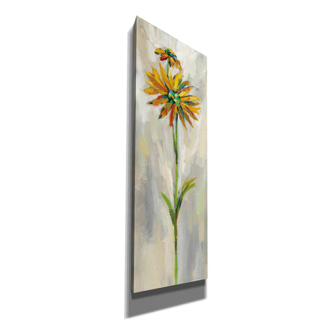 Image of 'Single Stem Flower III' by Silvia Vassileva, Canvas Wall Art