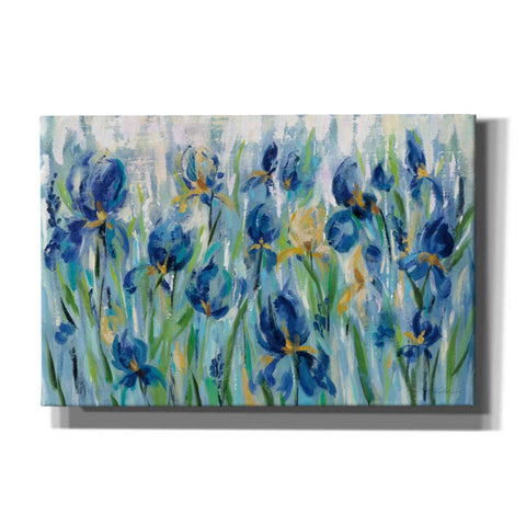 Image of 'Iris Flower Bed' by Silvia Vassileva, Canvas Wall Art