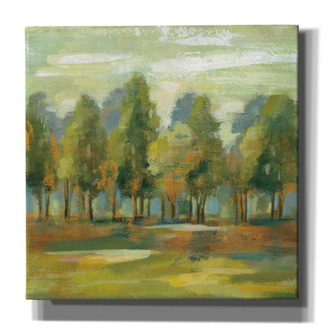 Image of 'Forest I' by Silvia Vassileva, Canvas Wall Art