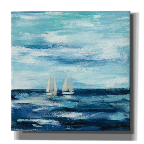 Image of 'Black Sea I' by Silvia Vassileva, Canvas Wall Art