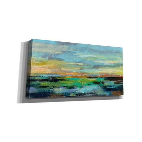 Image of 'Delmar Sunset I' by Silvia Vassileva, Canvas Wall Art