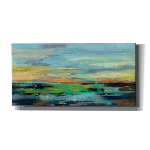 Image of 'Delmar Sunset I' by Silvia Vassileva, Canvas Wall Art