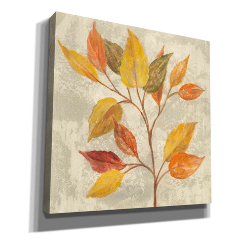 Image of 'November Leaves II' by Silvia Vassileva, Canvas Wall Art