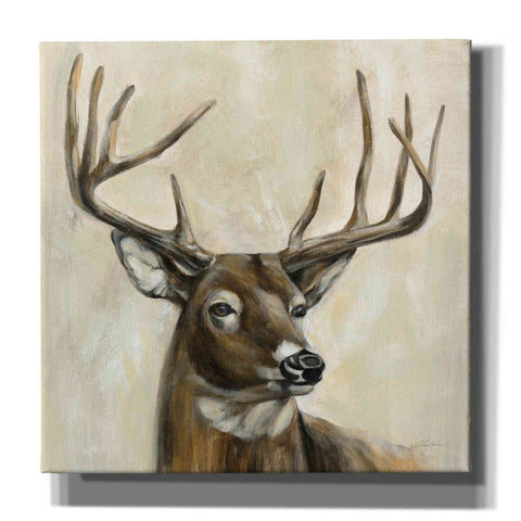Image of 'Bronze Deer' by Silvia Vassileva, Canvas Wall Art