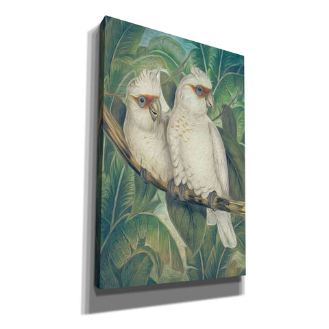 Image of 'Painted Plumage Three' by Steve Hunziker, Canvas Wall Art