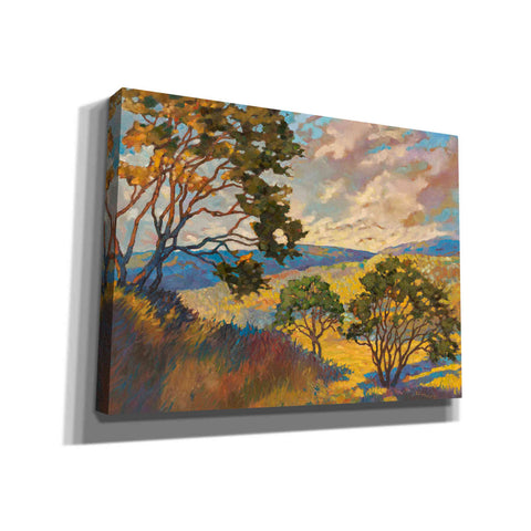 Image of 'Wide horizons 1' by Graham Reynolds, Canvas Wall Art