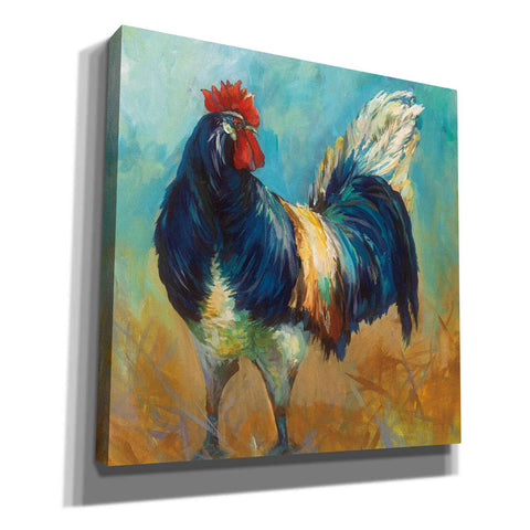 Image of 'Cocky' by Jeanette Vertentes, Canvas Wall Art