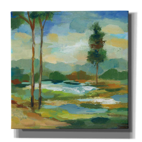 Image of 'Early Spring Landscape I' by Silvia Vassileva, Canvas Wall Art