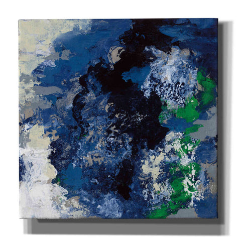 Image of 'Northern Coast II' by Silvia Vassileva, Canvas Wall Art