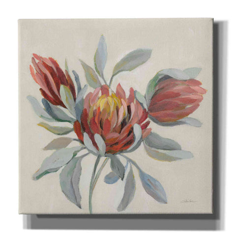 Image of 'Field Bloom I' by Silvia Vassileva, Canvas Wall Art