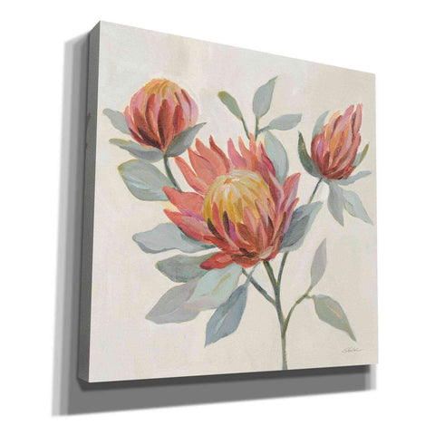 Image of 'Field Bloom II' by Silvia Vassileva, Canvas Wall Art