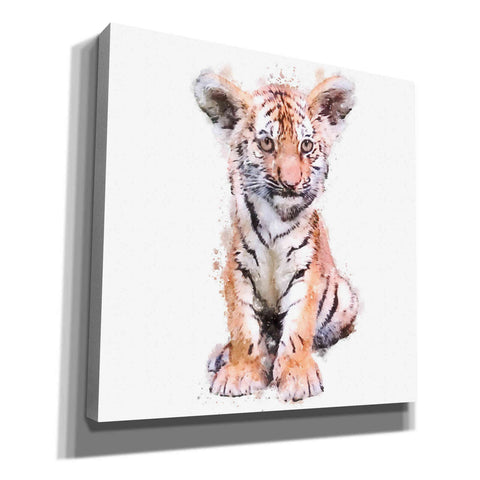 Image of 'Tigger Baby' by Kim Curinga, Canvas Wall Art