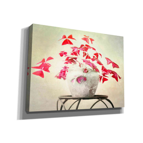 Image of "Butterfly Plant" by Hal Halli, Canvas Wall Art