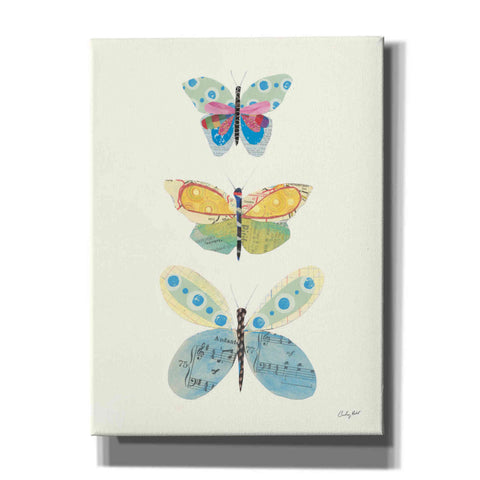 Image of 'Butterfly Charts IV' by Courtney Prahl, Canvas Wall Art