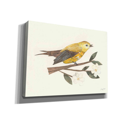 Image of 'Birds and Blossoms I' by Courtney Prahl, Canvas Wall Art