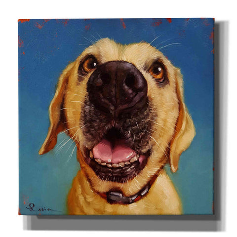 Image of 'Follow Your Nose 2' by Lucia Heffernan, Canvas Wall Art