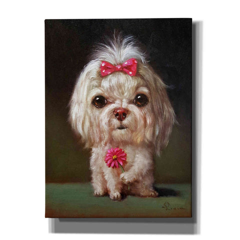 Image of 'Sophie' by Lucia Heffernan, Canvas Wall Art