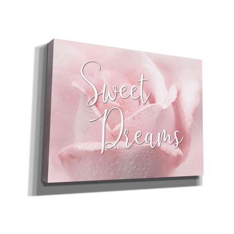 Image of 'Sweet Dreams' by Lori Deiter, Canvas Wall Art