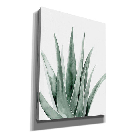 Image of 'Summer Botanicals 2' by Rachel Nieman, Canvas Wall Art