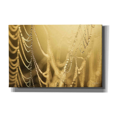 Image of 'Nature's Jewels II' by Martin Podt, Canvas Wall Art