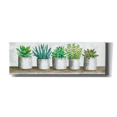Image of 'Succulent Pots' by Cindy Jacobs, Canvas Wall Art
