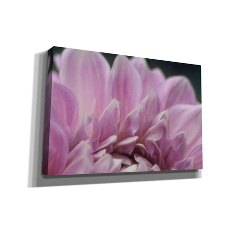Image of 'A Fresh Start' by Lori Deiter, Canvas Wall Art